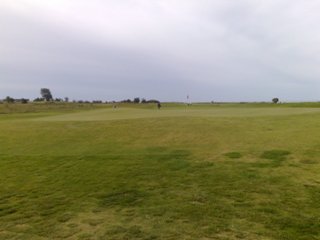 Gr�nh�gen. Klicka f�r att f�rstora!